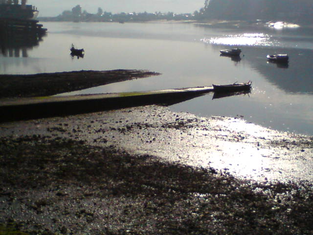 Foto: Marea baja - Puero Montt (Los Lagos), Chile