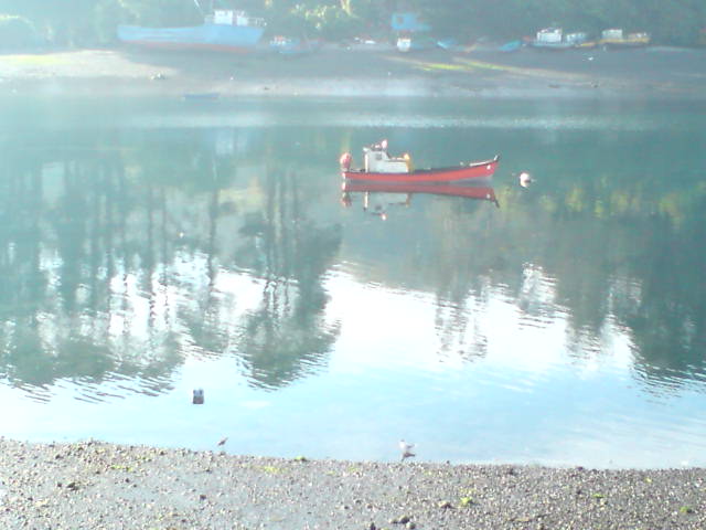 Foto: Pescador - Puerto Montt (Los Lagos), Chile