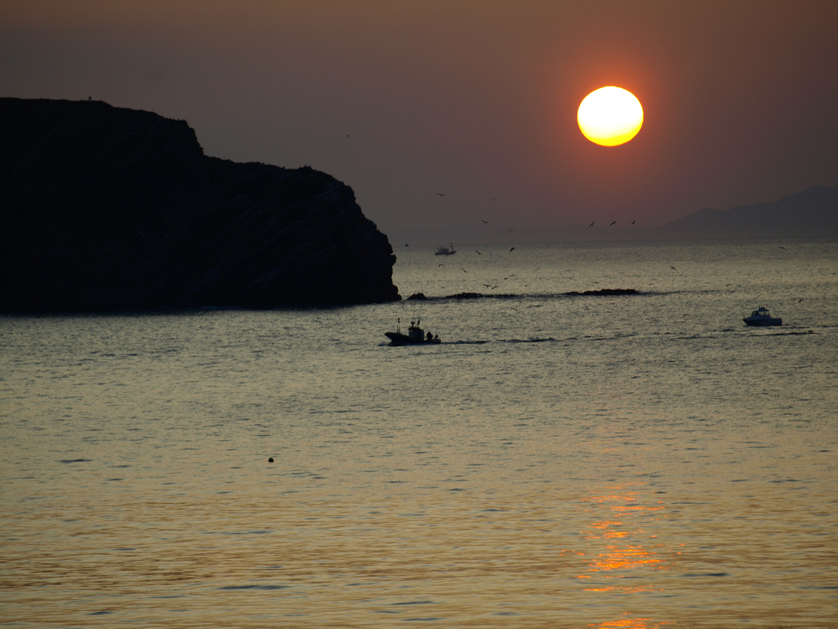 Foto: De vuelta en el ocaso - Plentzia (Vizcaya), España