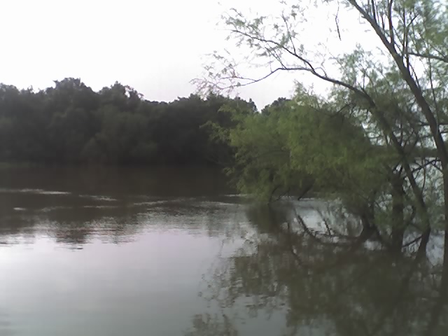 Foto de Paysandu (Paysandú), Uruguay
