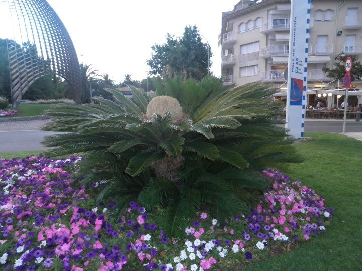 Foto de Salou (Tarragona), España