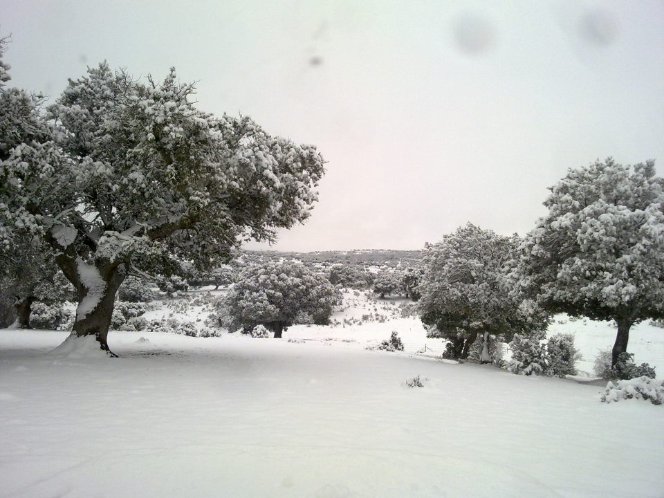 Foto: serranos - Zapardiel De La Cañada (Ávila), España