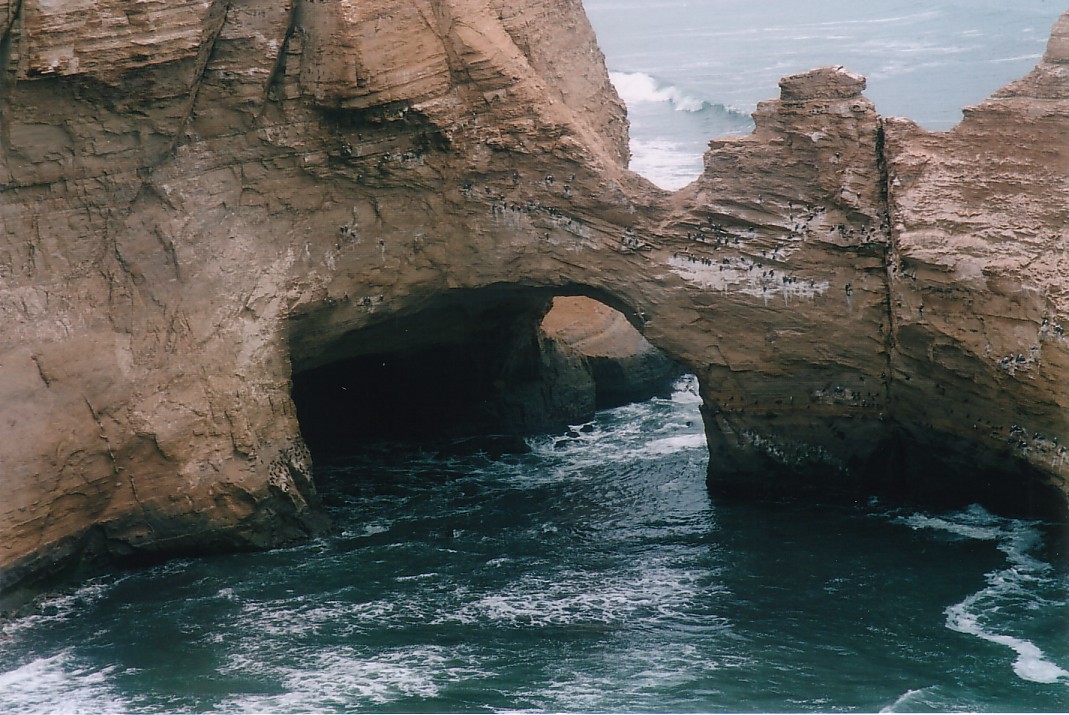 Foto de Paracas (Ica), Perú