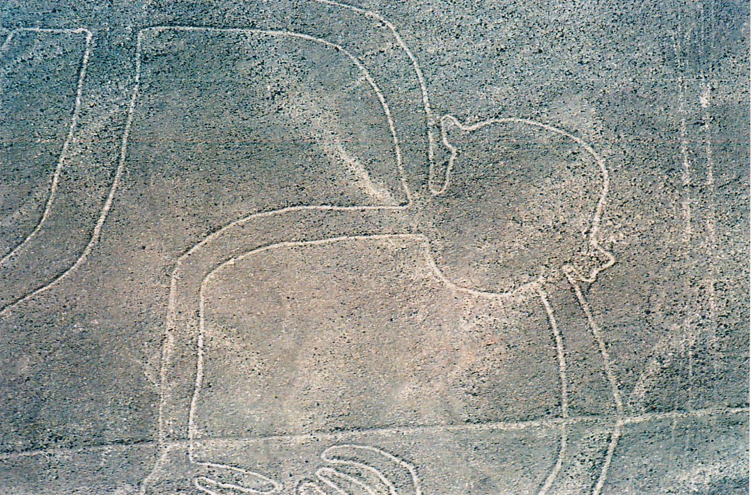 Foto de Nazca (Ica), Perú