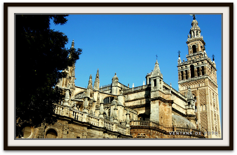 Foto: CATEDRAL Y GIRALDA - Sevilla (Andalucía), España