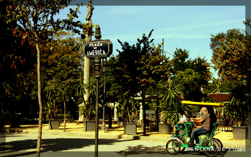 Foto: PARQUE DE MARIA LUISA - Sevilla (Andalucía), España