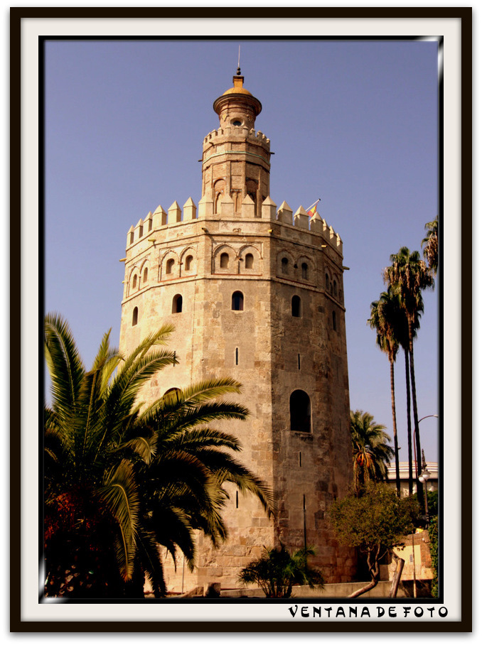 Foto: TORRE DEL ORO - Sevilla (Andalucía), España