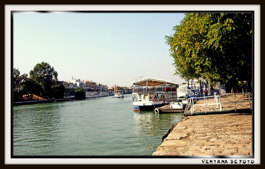 Foto: GUADALQUIVIR - Sevilla (Andalucía), España