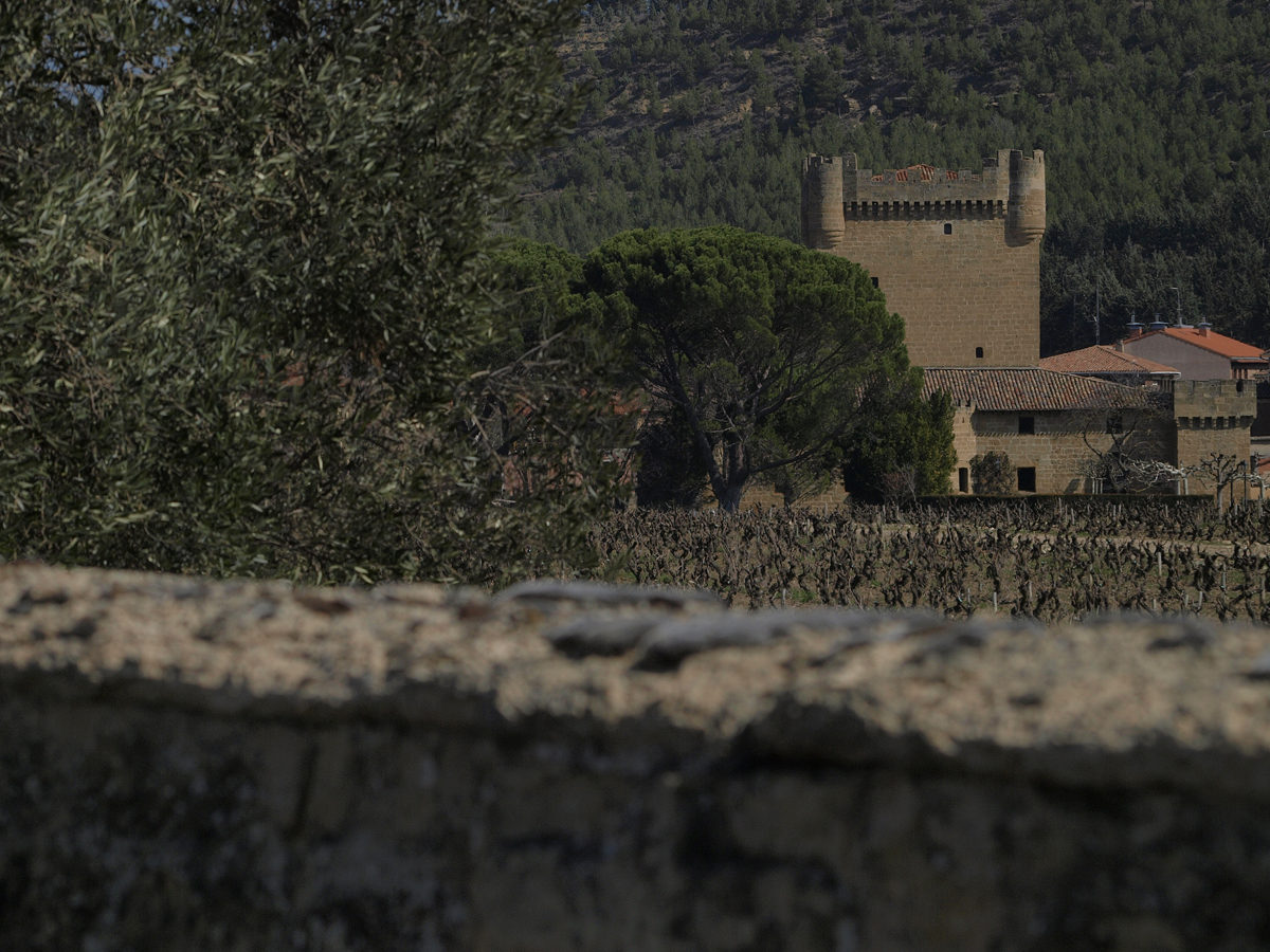 Foto: Castillo - Cuzcurrita de Río Tirón (La Rioja), España