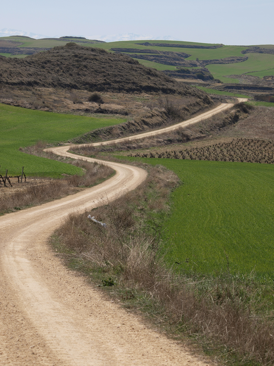 Foto: Camino - Cuzcurrita de Río Tirón (La Rioja), España