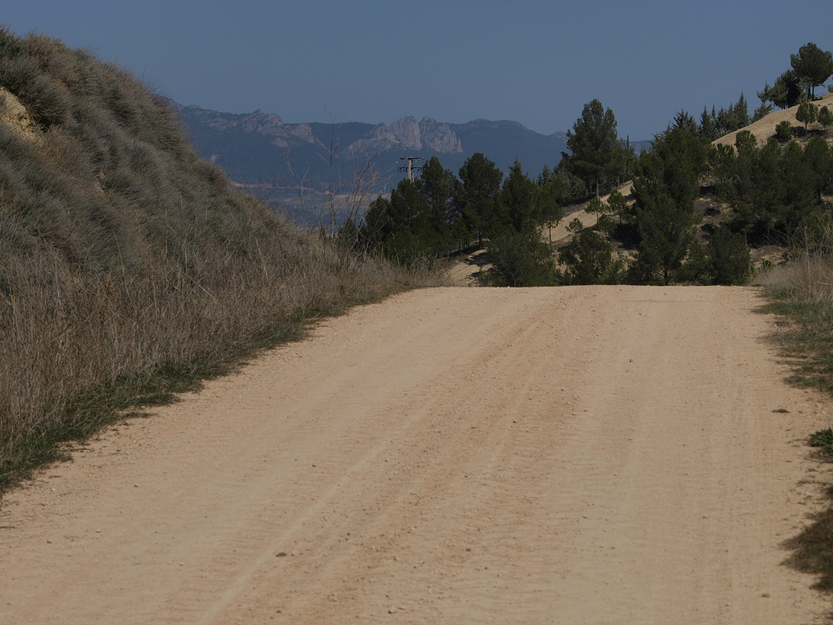 Foto: Camino de vuelta al pueblo - Cuzcurrita de Río Tirón (La Rioja), España
