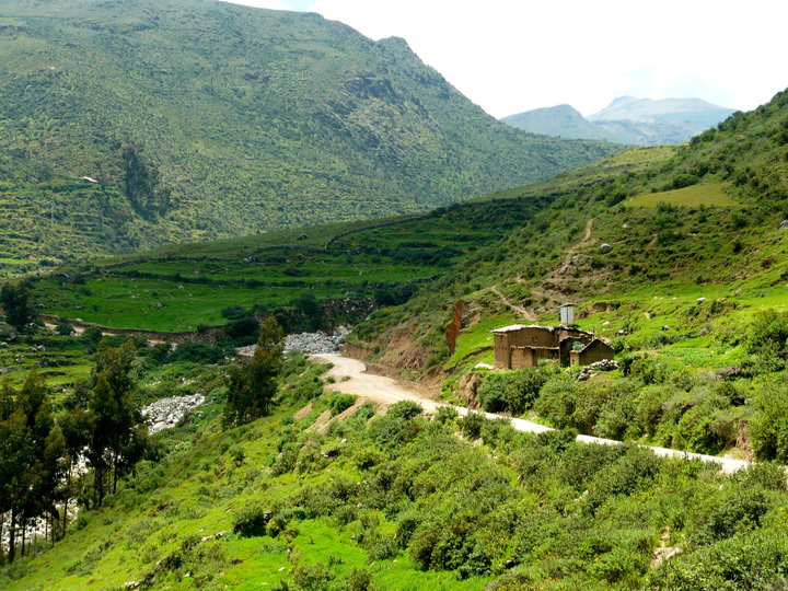 Foto de Palmira, Perú