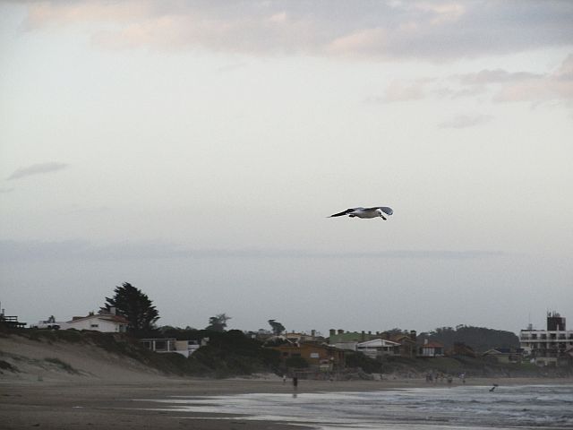 Foto: Playa La Aguada - La Paloma (Rocha), Uruguay