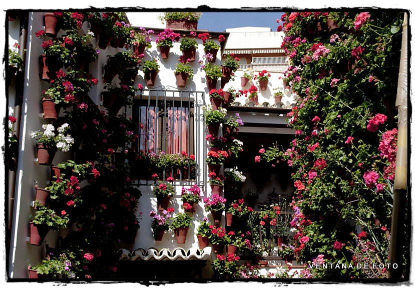 Foto: PATIOS - Córdoba (Andalucía), España