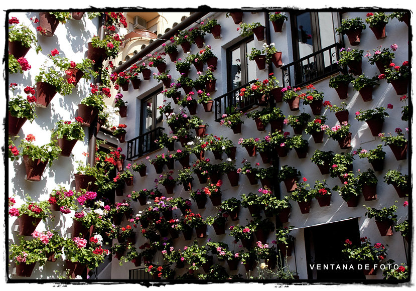 Foto: PATIOS - Córdoba (Andalucía), España