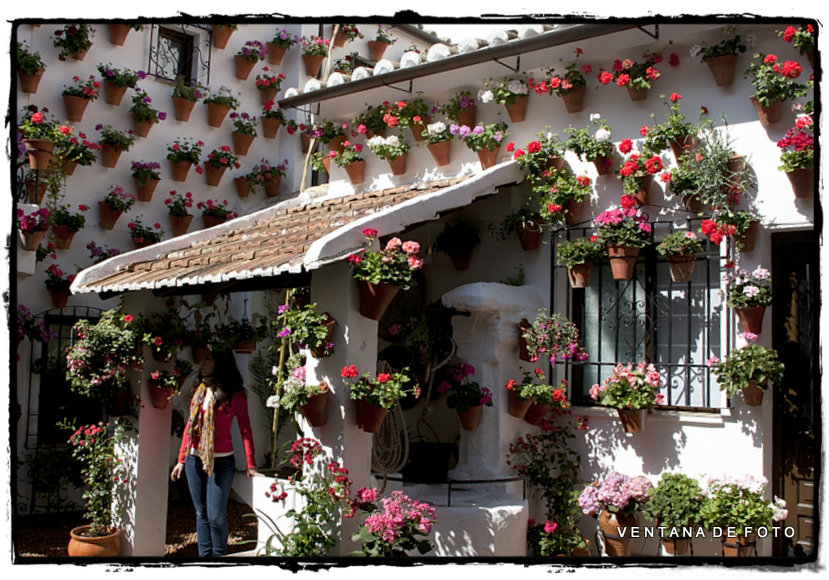 Foto: PATIOS - Córdoba (Andalucía), España