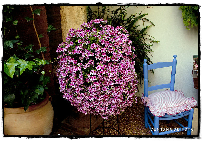 Foto: PATIOS - Córdoba (Andalucía), España