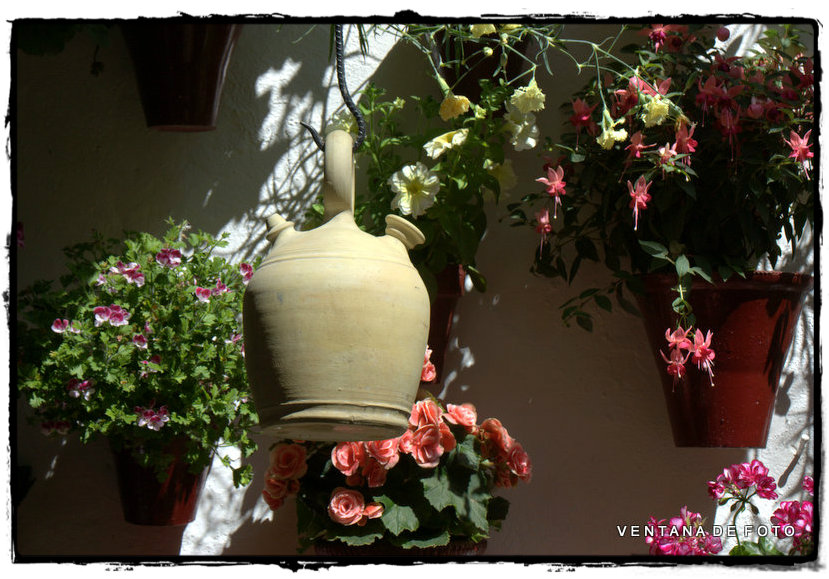 Foto: PATIOS - Córdoba (Andalucía), España