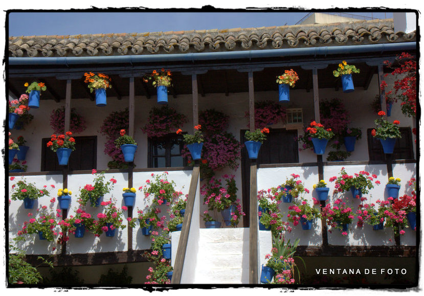 Foto: PATIOS - Córdoba (Andalucía), España