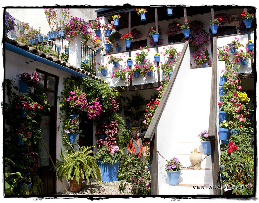 Foto: PATIOS - Córdoba (Andalucía), España