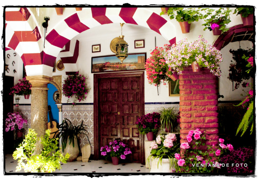 Foto: PATIOS - Córdoba (Andalucía), España