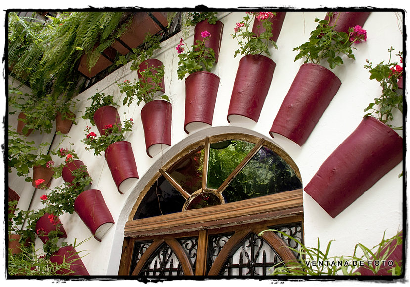 Foto: PATIOS - Córdoba (Andalucía), España