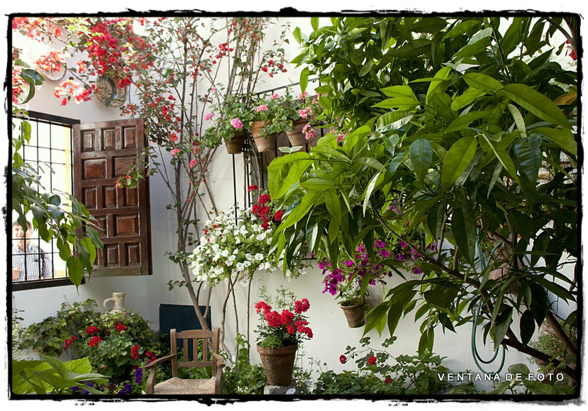 Foto: PATIOS - Córdoba (Andalucía), España