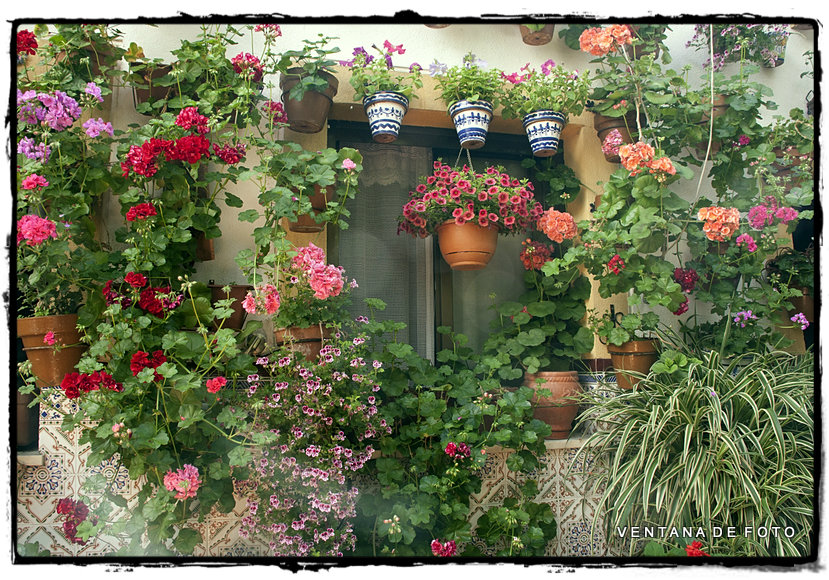 Foto: PATIOS - Córdoba (Andalucía), España