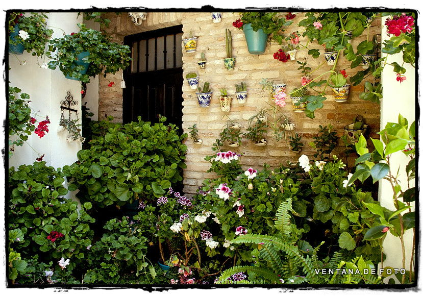 Foto: PATIOS - Córdoba (Andalucía), España