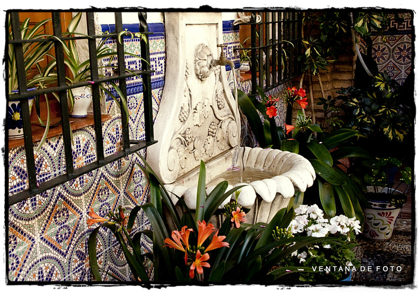 Foto: PATIOS - Córdoba (Andalucía), España