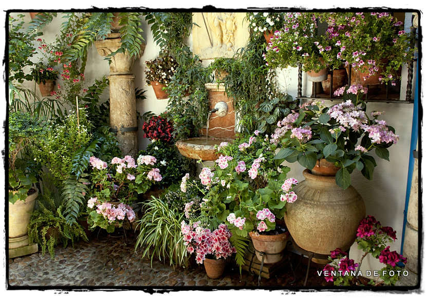 Foto: PATIOS - Córdoba (Andalucía), España