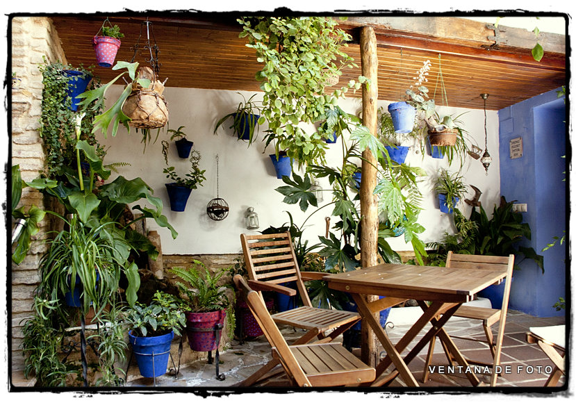 Foto: PATIOS - Córdoba (Andalucía), España