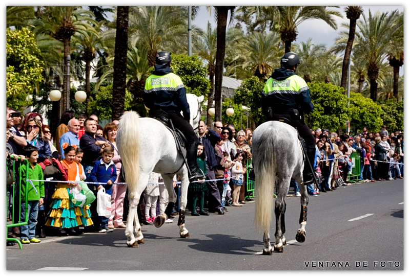 Foto: BATALLA DE LAS FLORES - Córdoba (Andalucía), España