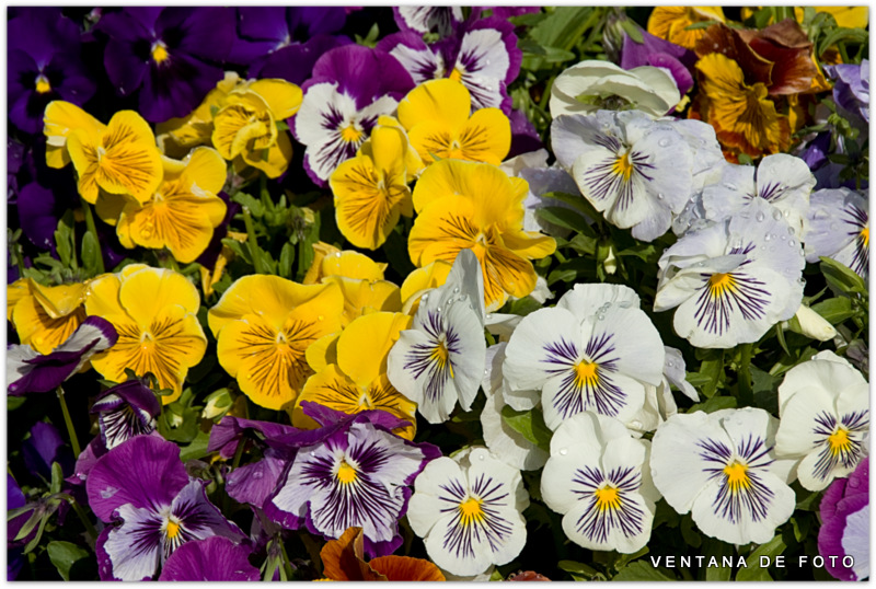 Foto: PARQUE EUROPA - Torrejón De Ardoz (Madrid), España