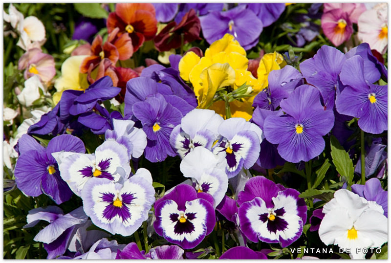 Foto: PARQUE EUROPA - Torrejón De Ardoz (Madrid), España