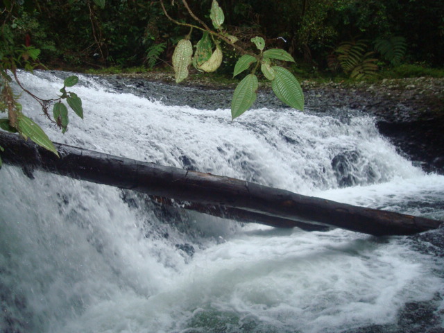 Foto: Cascada - Puyo (Pastaza), Ecuador