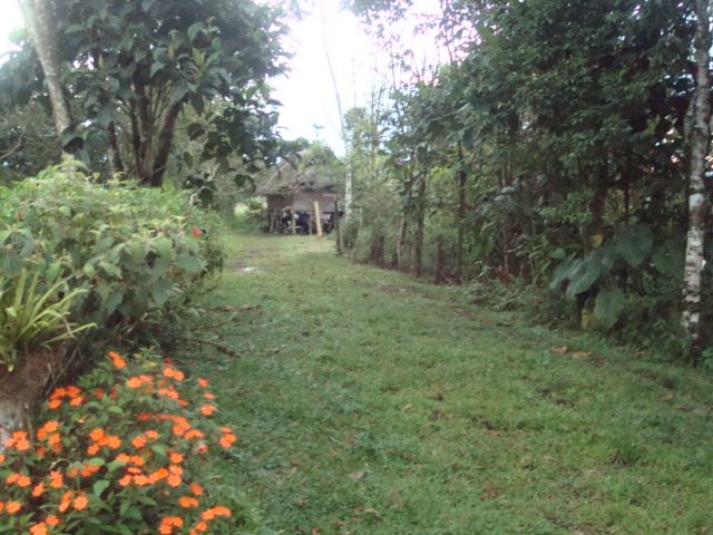 Foto: Paseo - Puyo (Pastaza), Ecuador