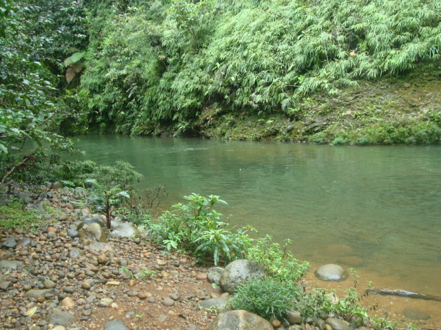 Foto: Rio - Puyo (Pastaza), Ecuador