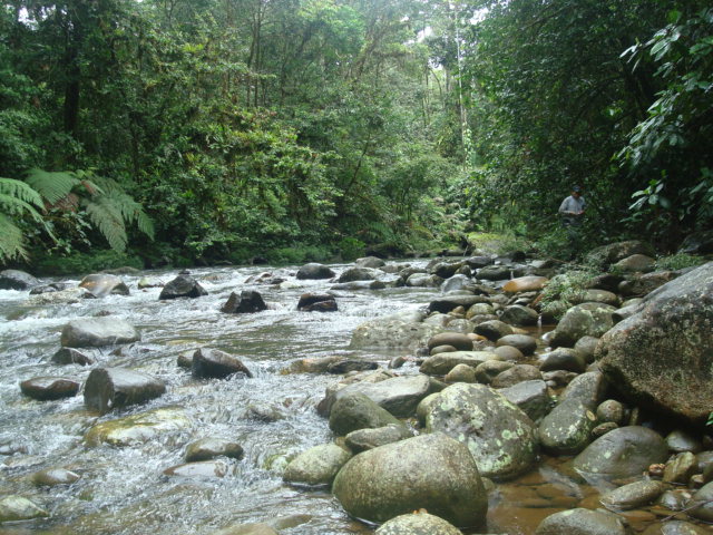 Foto: Rio - Puyo (Pastaza), Ecuador