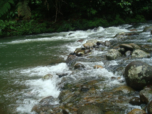 Foto: Rio - Puyo (Pastaza), Ecuador