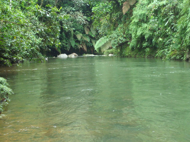 Foto: Rio - Puyo (Pastaza), Ecuador