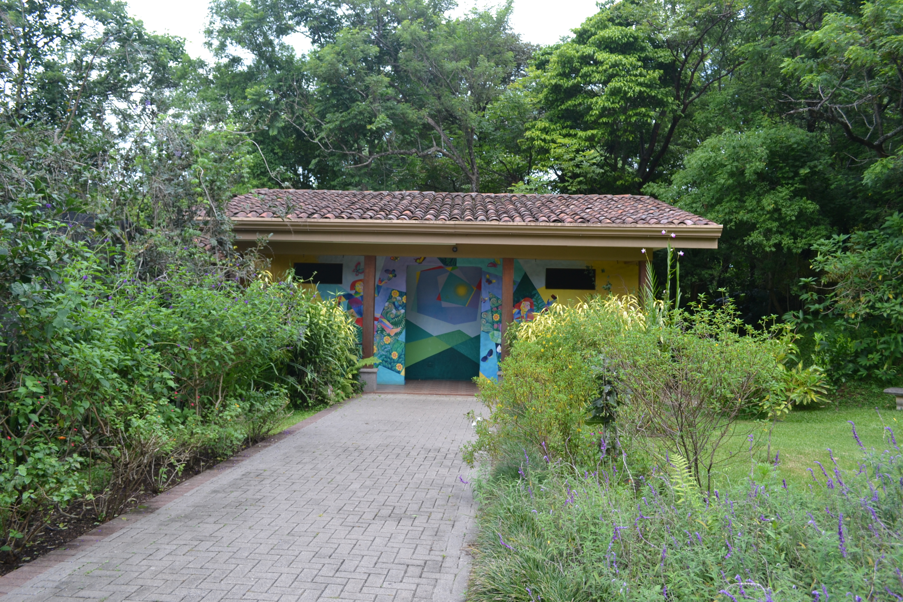 Foto: The Butterfly Farm - La Guácima (Alajuela), Costa Rica