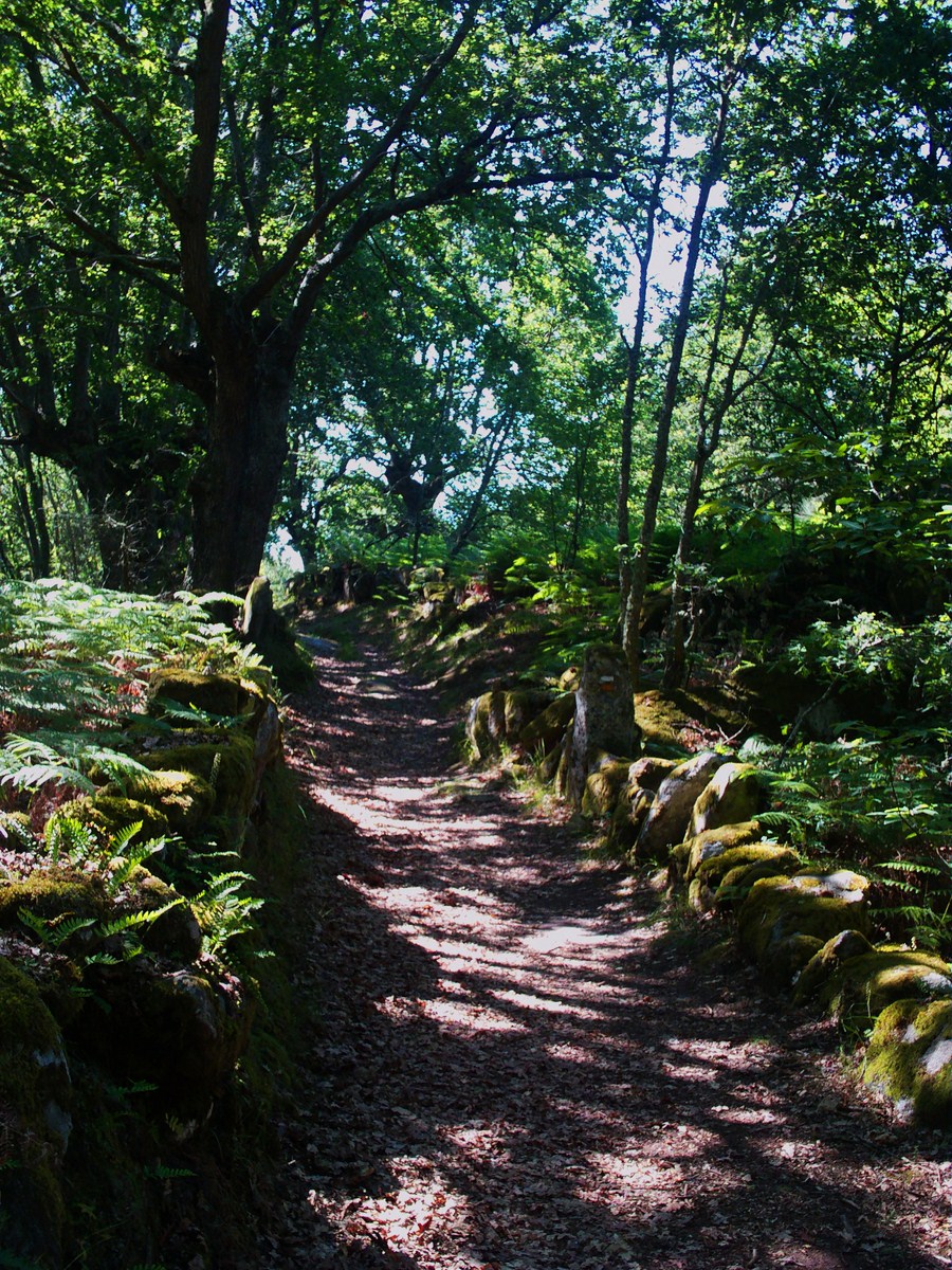 Foto: CAMINO AL HORNO - Santa Mariña De Las Aguas Santas (Ourense), España