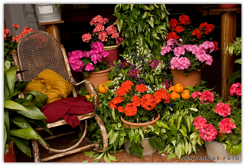 Foto: CRUCES DE MAYO(DETALLES) - Córdoba (Andalucía), España