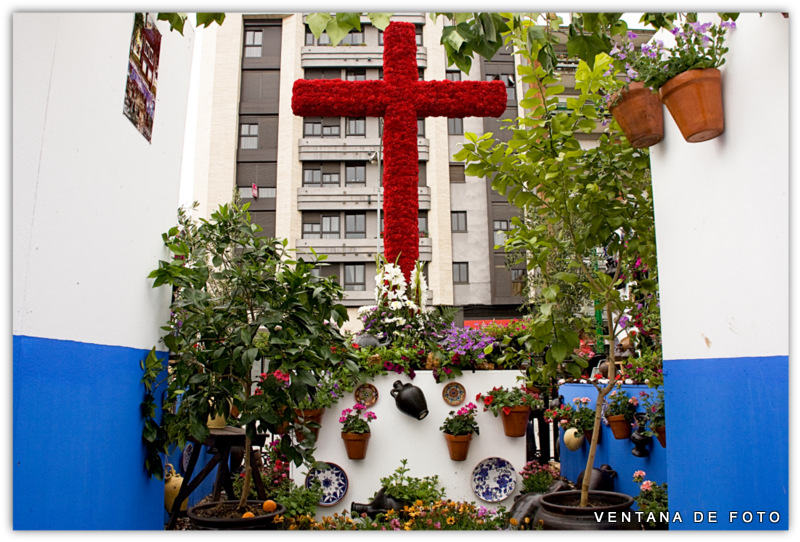 Foto: CRUCES DE MAYO - Córdoba (Andalucía), España