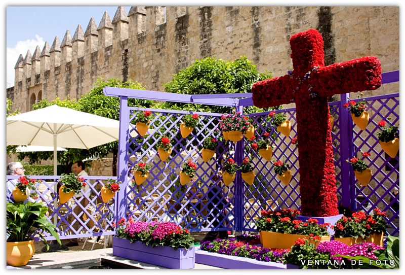 Foto: CRUCES DE MAYO - Córdoba (Andalucía), España