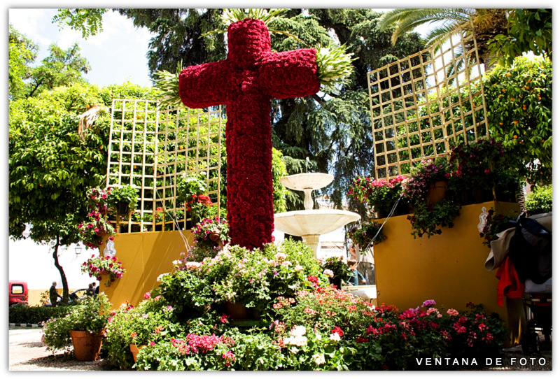 Foto: CRUCES DE MAYO - Córdoba (Andalucía), España