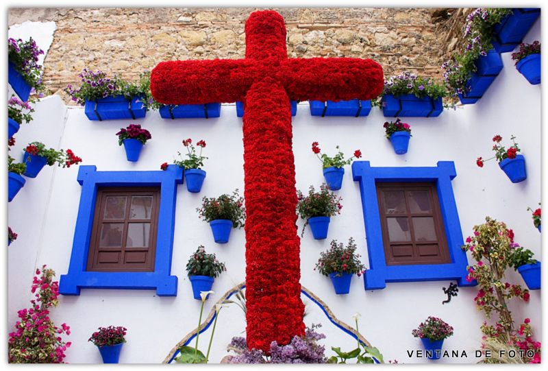 Foto: CRUCES DE MAYO - Córdoba (Andalucía), España
