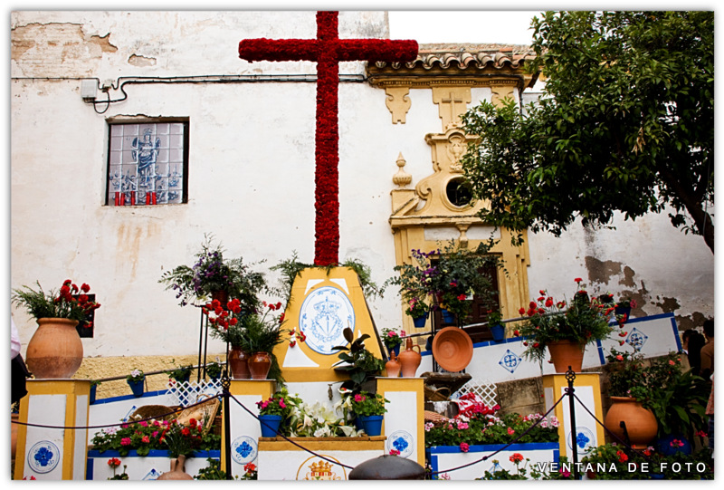 Foto: CRUCES DE MAYO - Córdoba (Andalucía), España