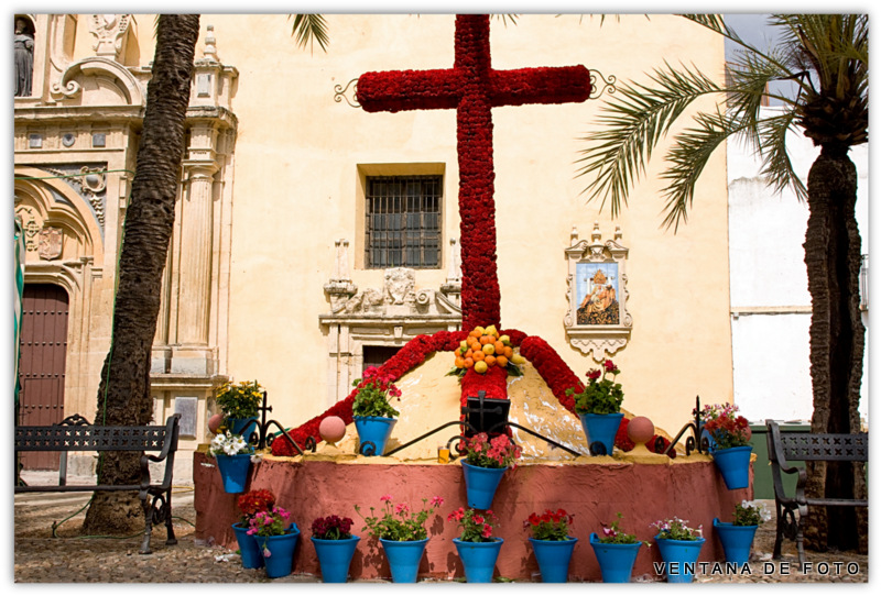 Foto: CRUCES DE MAYO - Córdoba (Andalucía), España